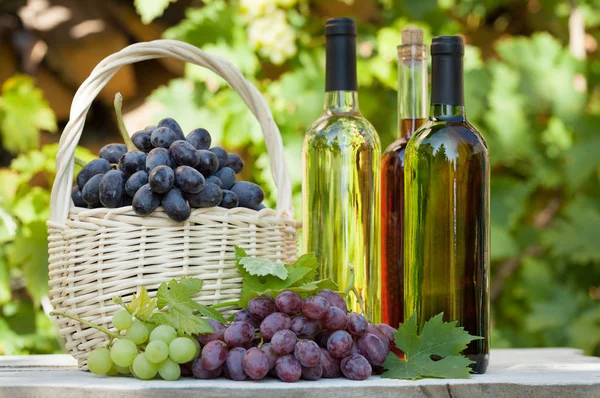 Various Grapes Basket White Wine Bottles Glass Autumn Vineyard Harvest — Stock Photo, Image