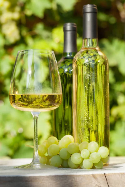 White Grape Wine Bottles Wineglass Vineyard Garden — Stock Photo, Image