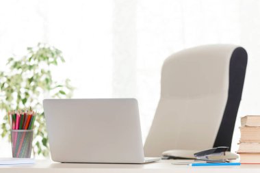 Laptop ve malzemelerle dolu ev işyeri, masa, ev bitkisi ve pencerenin parlak ışığı