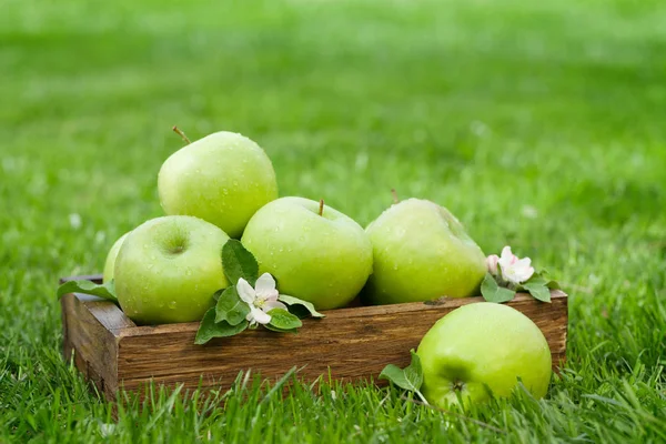 新鲜的花园绿苹果在盒子里 在草地上 有文本的复制空间 — 图库照片