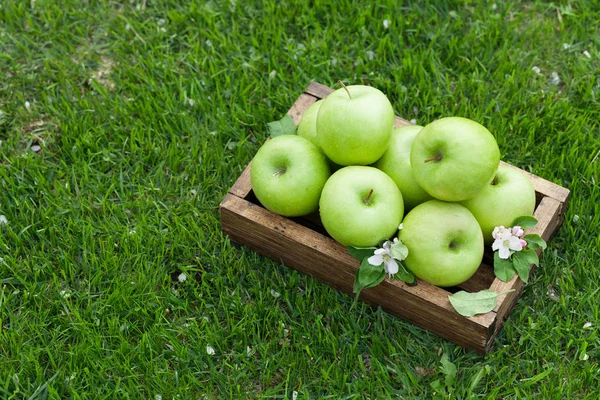 Pommes Vertes Jardin Fraîches Boîte Sur Prairie Herbe Avec Espace — Photo