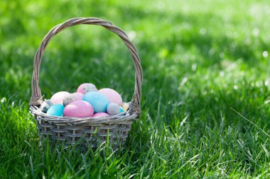 Yeşil çayır üzerinde paskalya yumurtası sepeti. Selamlarınız için kopyalama alanı ile