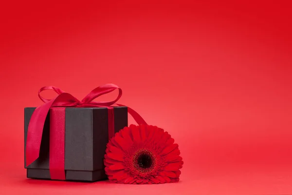 Valentin Napi Üdvözlőlapot Gerbera Virág Ajándék Doboz Előtt Piros Háttér — Stock Fotó