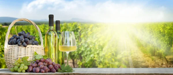 Raisins Colorés Dans Panier Bouteilles Vin Blanc Verre Devant Paysage — Photo