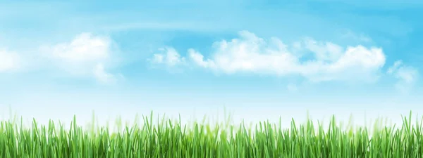 Abstrakte Sonnige Sommer Gras Und Himmel Mit Wolken Textur Hintergrund — Stockfoto