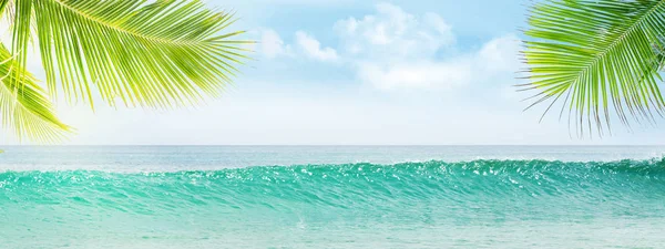 Letní Tropické Moře Vlnami Palmami Modrou Oblohou Mraky Perfektní Dovolená — Stock fotografie