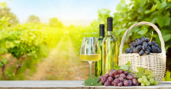 Uvas Coloridas Cesta Garrafas Vinho Branco Vidro Frente Paisagem Vinha — Fotografia de Stock