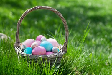 Yeşil çayır üzerinde paskalya yumurtası sepeti. Selamlarınız için kopyalama alanı ile
