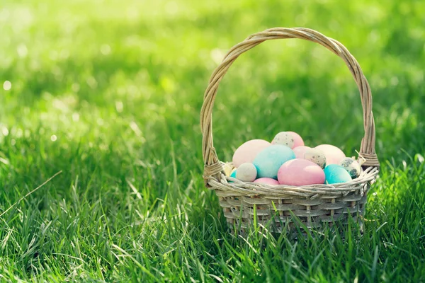 Cesto Uova Pasqua Prato Erboso Verde Con Spazio Vostri Saluti — Foto Stock