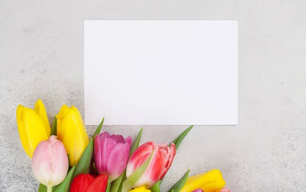 Cartão Saudação Páscoa Com Flores Tulipa Primavera Sobre Fundo Pedra — Fotografia de Stock