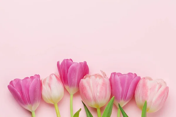 Tarjeta Felicitación Pascua Con Coloridas Flores Tulipán Sobre Fondo Rosa —  Fotos de Stock