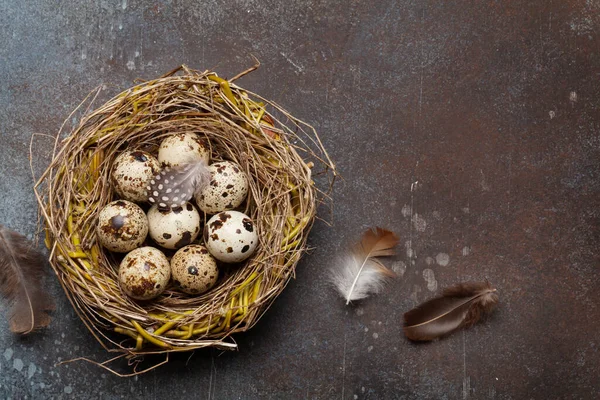 Tarjeta Felicitación Pascua Con Huevos Codorniz Nido Sobre Fondo Piedra — Foto de Stock