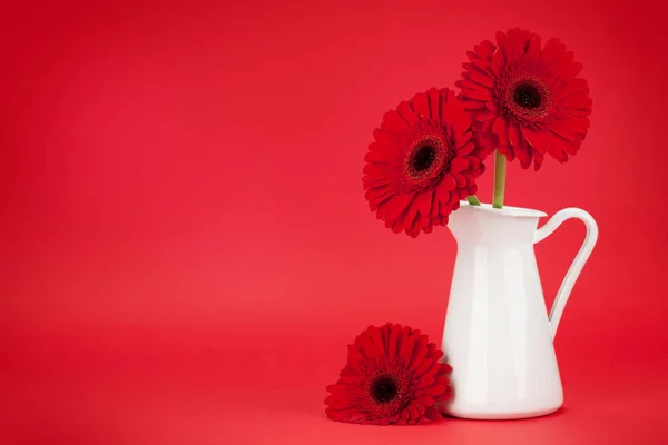 Üdvözlőlap Gerbera Virágok Felett Piros Háttér Helyet Üdvözletét — Stock Fotó