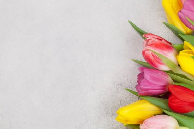 Easter greeting card with colorful tulip flowers over stone background. Top view flat lay with copy space