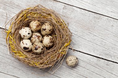 Easter greeting card with quail eggs in nest on wooden background. Top view flat lay with space for your greetings