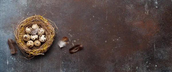 Tarjeta Felicitación Pascua Con Huevos Codorniz Nido Sobre Fondo Piedra — Foto de Stock