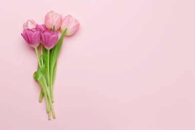 Paskalya tebrik kartında pembe arka planda lale çiçekleri var. Tebrik etmek için en üstteki dairede yer var.