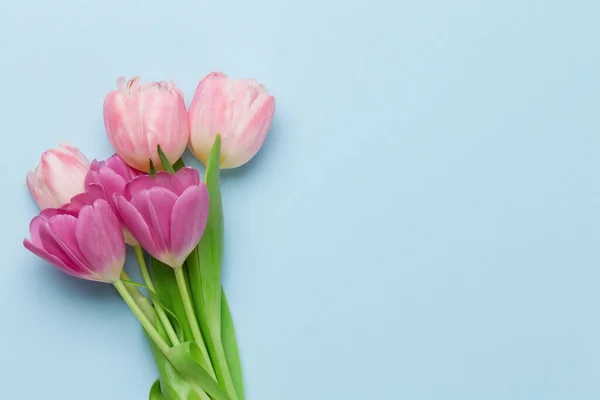 Pasen Wenskaart Met Tulp Bloemen Blauwe Achtergrond Bovenaanzicht Plat Lag — Stockfoto