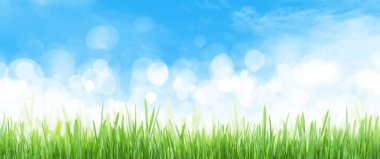 Soyut yaz çimenliği ve bulutlu bulutlu gökyüzü geniş arkaplan