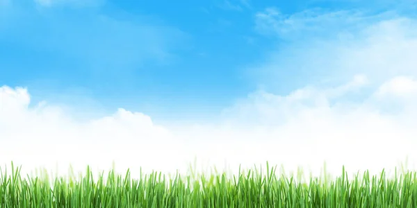 Abstract Summer Grass Field Sunny Sky Clouds Texture Wide Background — Stock Photo, Image