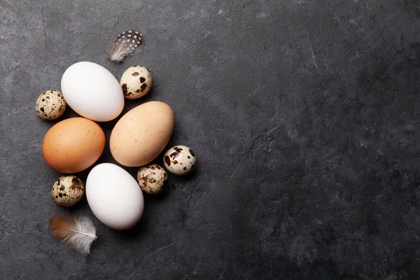 White Brown Quail Eggs Stone Table Top View Copy Space — Stock Photo, Image