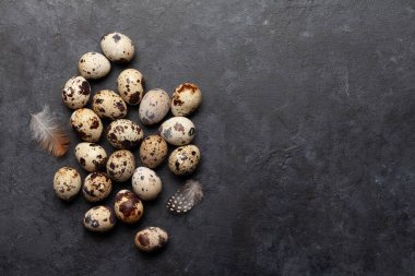 Taş zeminde bıldırcın yumurtası. Kopyalama alanı olan üst görünüm. Düz yatıyordu