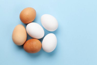 Mavi arka planda beyaz ve kahverengi tavuk yumurtaları. Kopyalama alanı olan üst görünüm. Düz la