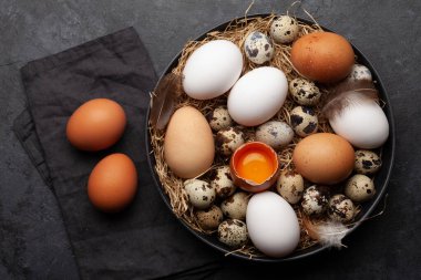 Taş zeminde beyaz, kahverengi ve bıldırcın yumurtası. Üst Manzara. Düz yatıyordu