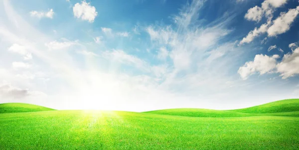 Zielona Trawa Pola Błękitne Niebo Jasnym Słońcem Lato Krajobraz Tło — Zdjęcie stockowe