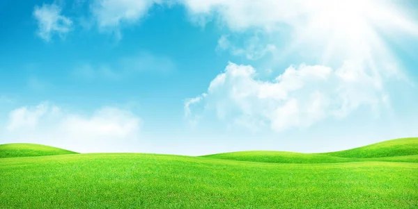 Zielona Trawa Pola Błękitne Niebo Jasnym Słońcem Lato Krajobraz Tło — Zdjęcie stockowe