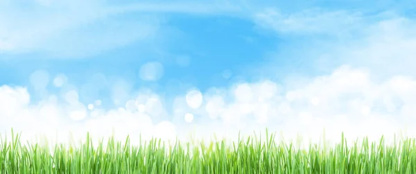 Abstract Zomer Gras Veld Zonnige Hemel Met Wolken Textuur Brede — Stockfoto
