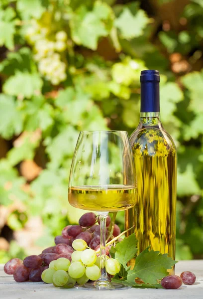 五彩缤纷的葡萄 白葡萄酒瓶和酒杯 秋天葡萄园收获 — 图库照片