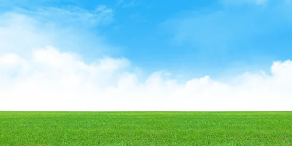 緑の草原と青空夏の風景背景 — ストック写真