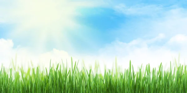 Abstract Summer Grass Field Sunny Sky Clouds Texture Wide Background — Stock Photo, Image