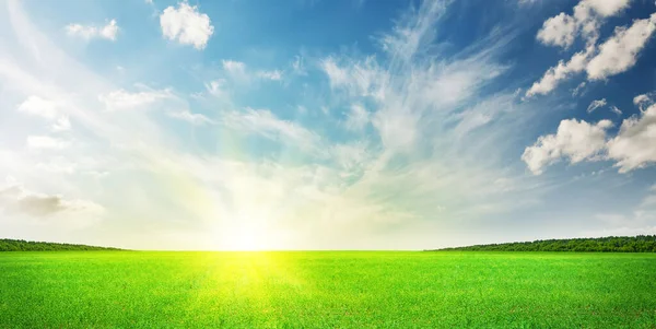 Grünes Gras Feld Und Blauer Himmel Sommer Landschaft Hintergrund — Stockfoto