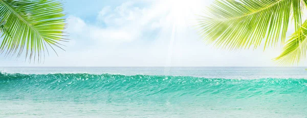 Letní Tropické Moře Vlnami Palmami Modrou Oblohou Mraky Perfektní Dovolená — Stock fotografie