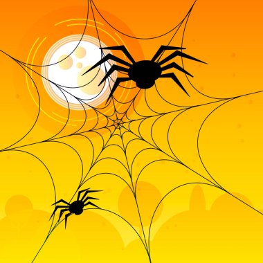 Bir spiderweb iki örümcekler 