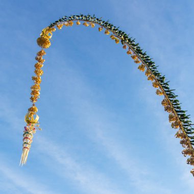 Bali bambu Polonyalılar dekore edilmiştir.