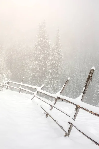 Bellissimo paesaggio invernale — Foto Stock