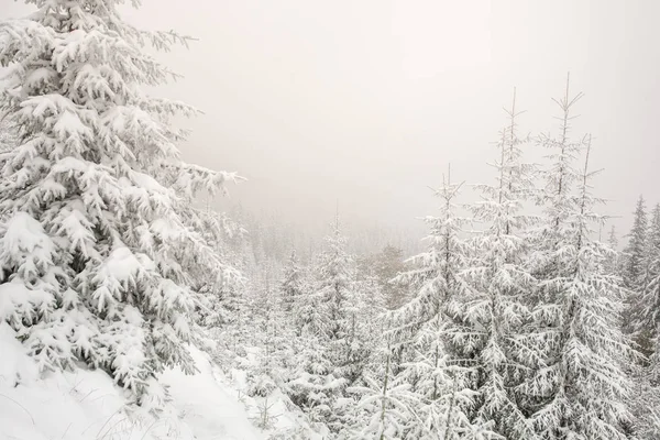 Linda paisagem de inverno — Fotografia de Stock