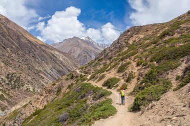 güzel dağ manzarası 