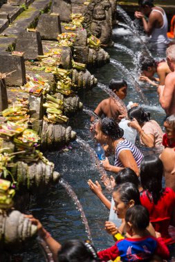 Bali dili Hindu aileler için kutsal yaylar gelir