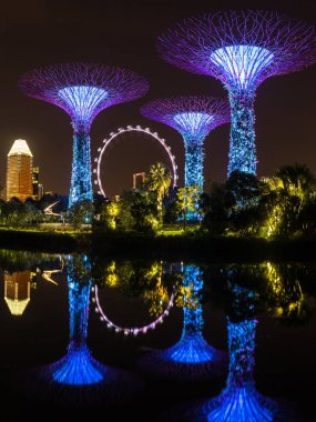 Işıklı Supertree Grove gece görünümü