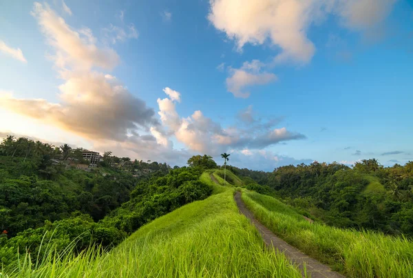 На відомих Campuhan хребта ходити в Ubud — стокове фото