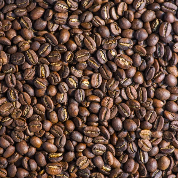 Coffee beans background — Stock Photo, Image