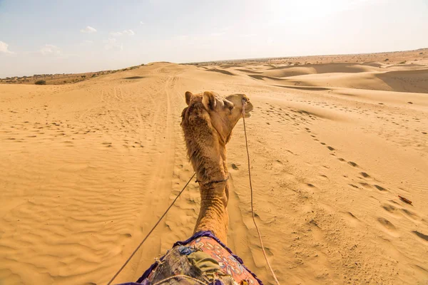 Visa från rider på kamel — Stockfoto