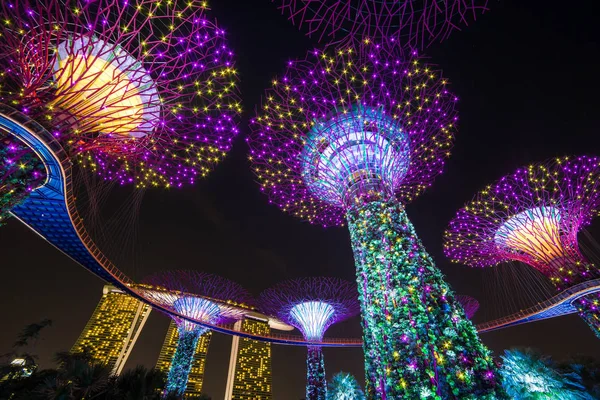 Vista nocturna de Supertree Grove iluminado —  Fotos de Stock