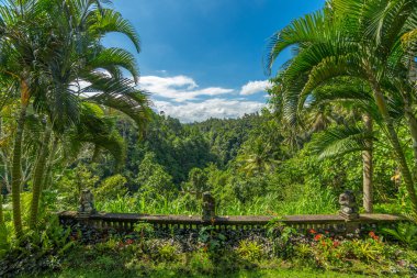 Özel villa görüntülemek 