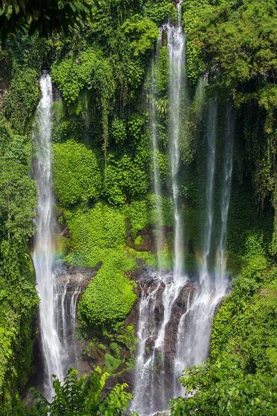 Sekumpul vízesések, Bali — Stock Fotó