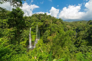 Sekumpul şelaleler Bali